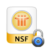 Unlock Lotus Notes Local Security